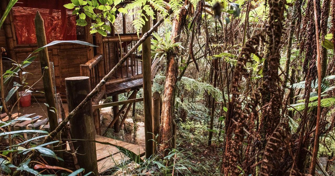 Hotel Guatape Adrianas Bambu Buitenkant foto