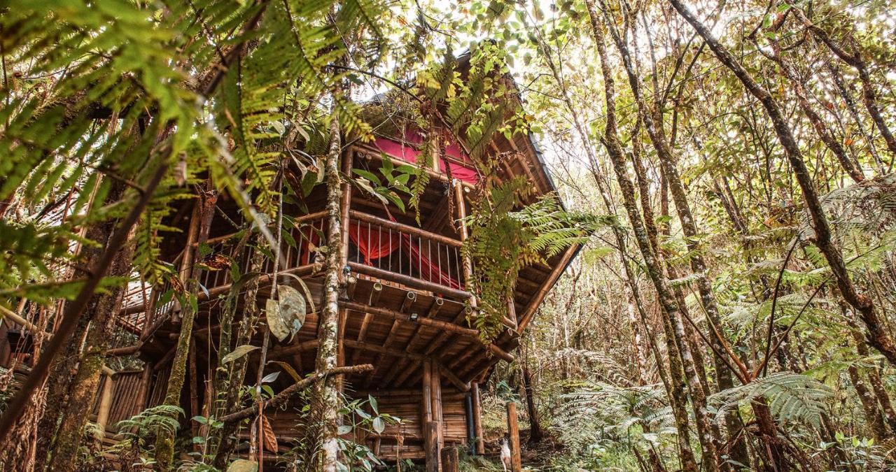 Hotel Guatape Adrianas Bambu Buitenkant foto