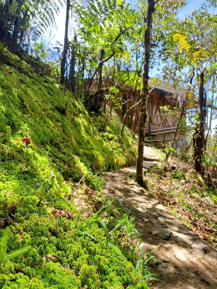 Hotel Guatape Adrianas Bambu Buitenkant foto