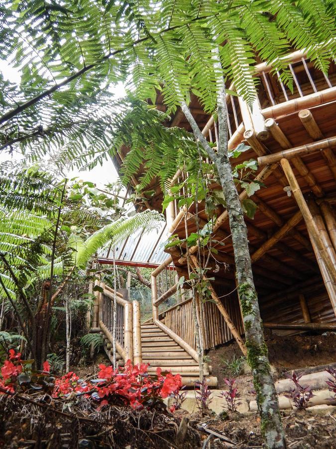 Hotel Guatape Adrianas Bambu Buitenkant foto