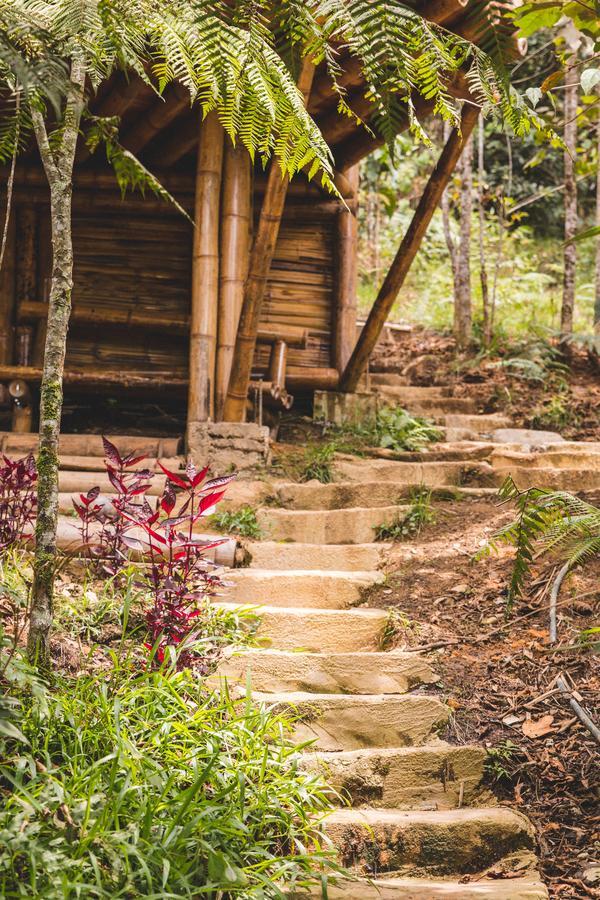 Hotel Guatape Adrianas Bambu Buitenkant foto